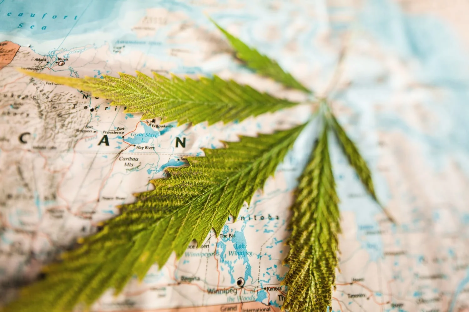 How to find weed in Linz Austria 2026 - cannabis travel guide