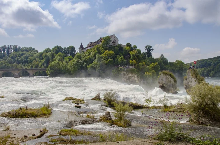Get weed in Schaffhausen - scenic view of historic Schaffhausen old town and the Rhine river in Switzerland